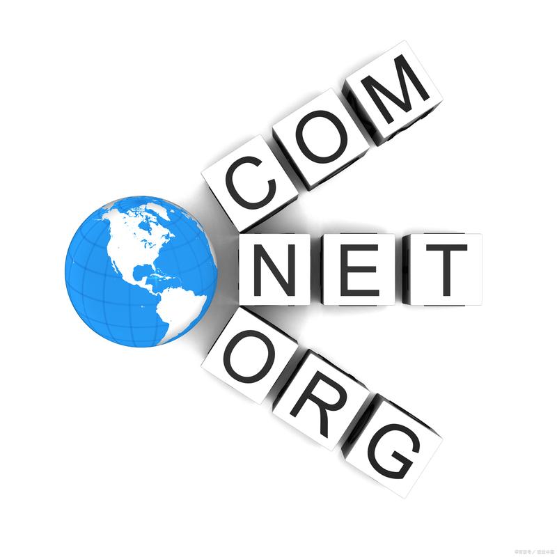 河南网络科技公司的数字化之路